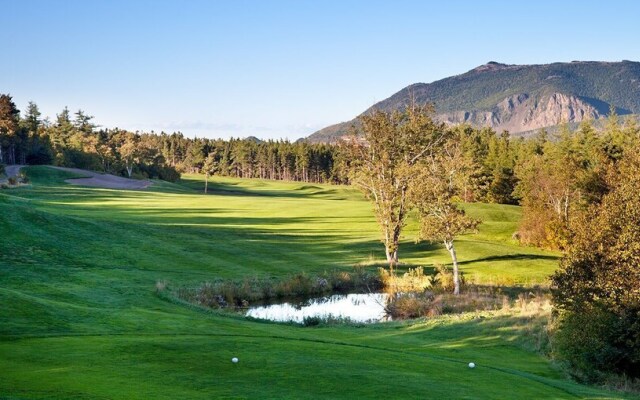 The Archie Isidore Hotel