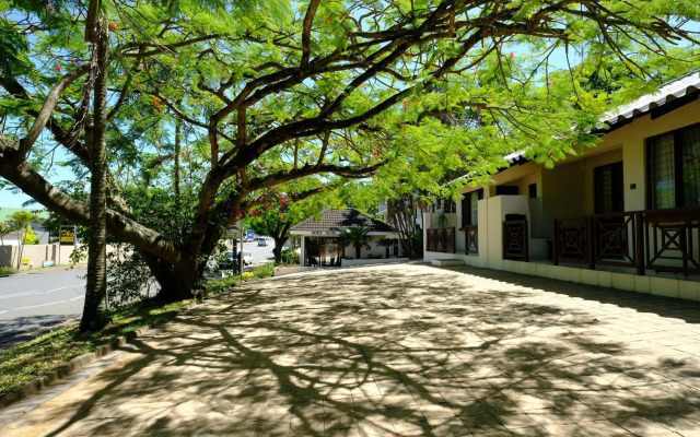 St Lucia Palms
