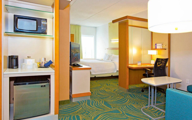 Springhill Suites by Marriott Pittsburgh Mt. Lebanon