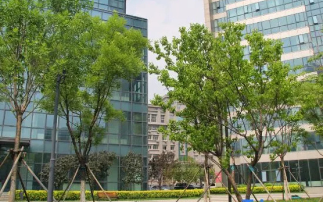 Gone with wind Homestay (Shenyang North Railway Station)