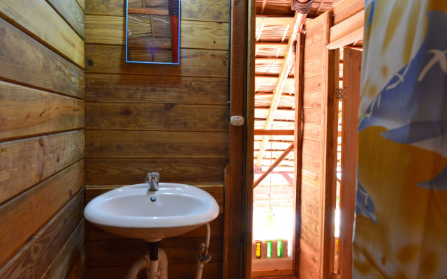 Hostel La Ballena Backpacker