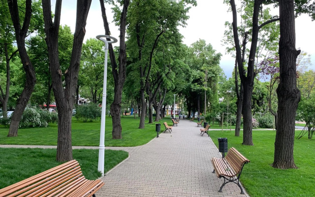 Floreasca Apartment Bach