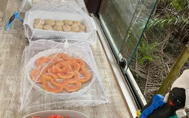 Viking Inn Privilege