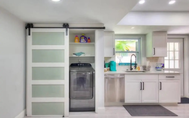 The Mermaid and the Sea Turtle