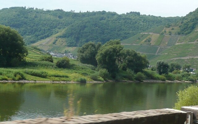 Modern Apartment in Weinsheim with Terrace