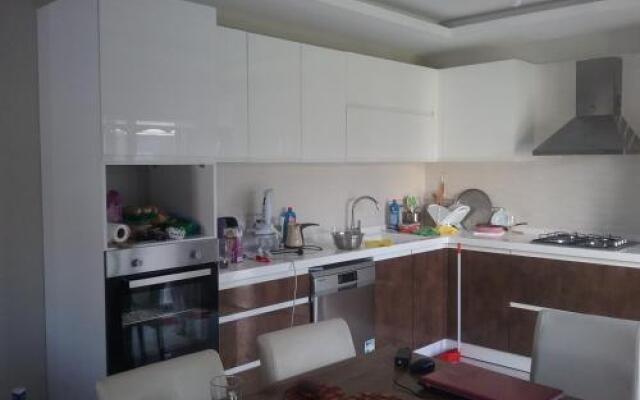 Villa Palm23