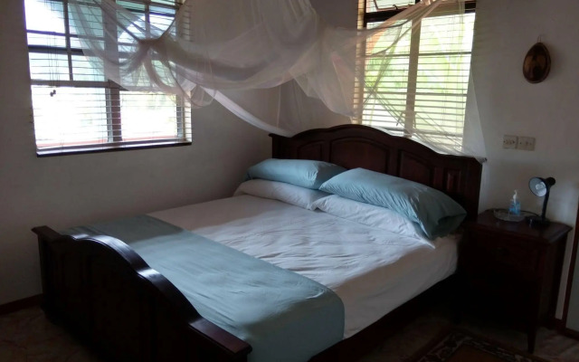 Mainroad Suite