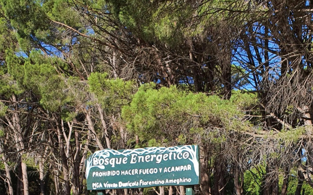 Maral -33- Mi Lugar en el Mundo