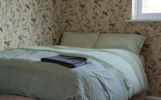 Toad Hall Hostel