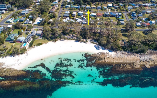 Palmwood at Hyams Beach 4pm Check Out Sundays