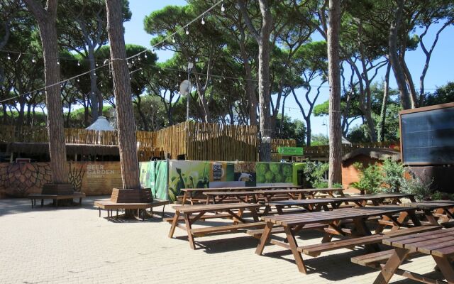 Park Albatros San Vincenzo