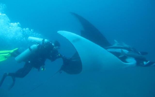 Mantaraya Lodge