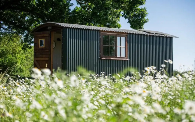 Harbour Ranch Hut - Rustic Countryside Escape