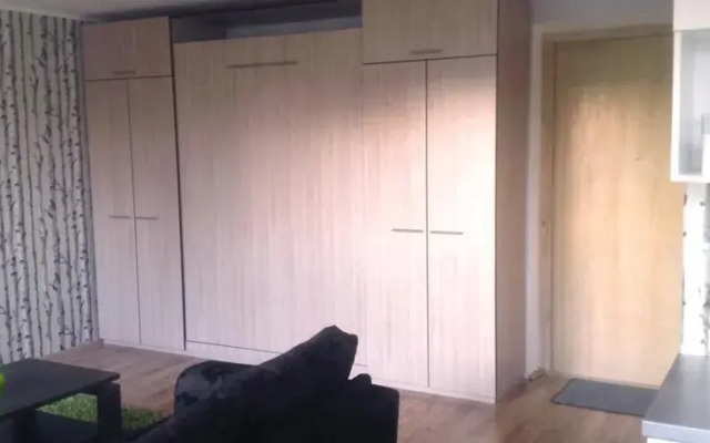 Sunny Studio Apartment