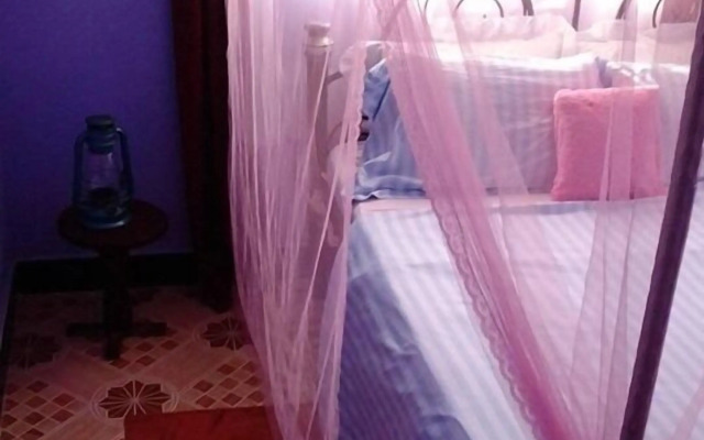 View Mountain House - Backpackers