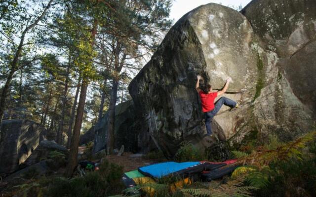 Palm House Sauna City Center Ideal Insead