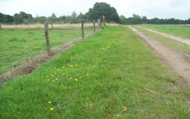 Wapen van Exloo