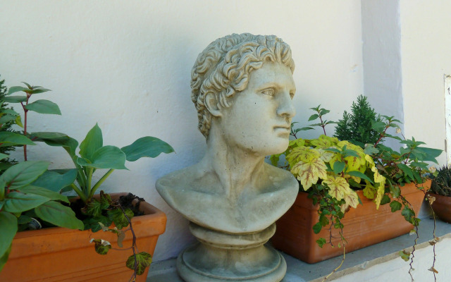 The Somerville