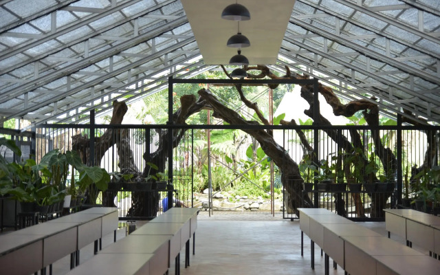 Sarga Earthing Resort