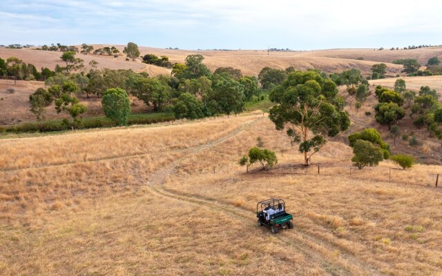 Kingsford the Barossa