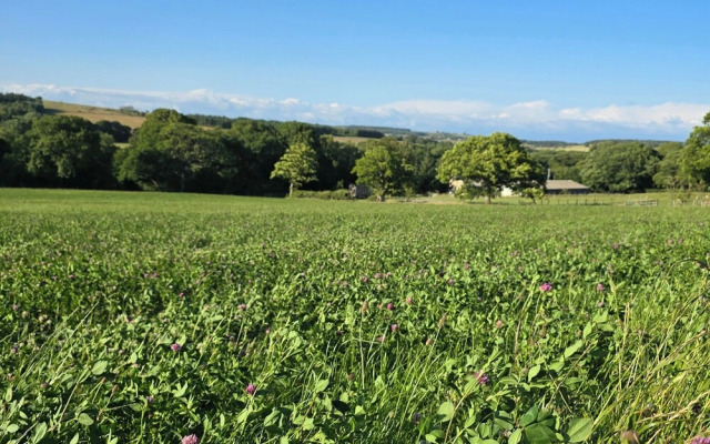 Woodend Hideaway Hamsterley - Sleeps 2 & Garden