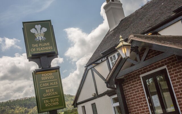 The Plume of Feathers, A458
