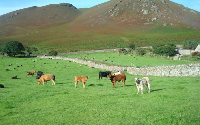 The Wayside and Whisky Barn