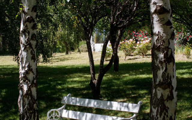 Rupu Pehuen Resort