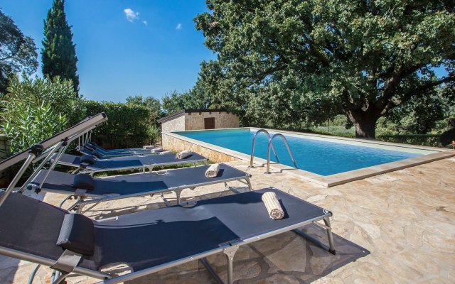 Adorable holiday home with private swimming pool and terrace !