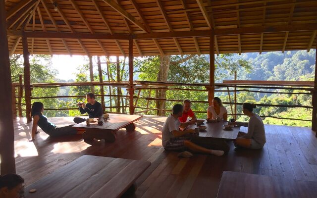 Terra's Tree House