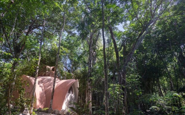Room-unique Jungle Dome Ik
