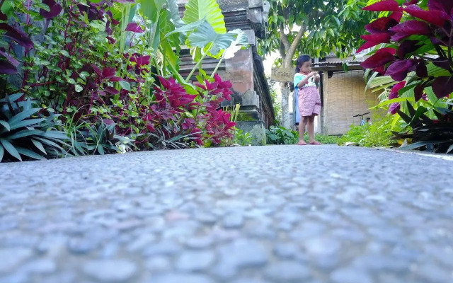 Pangkung Sari