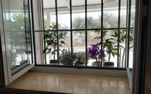 Il Cassetto dei Sogni