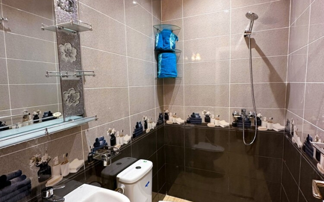 Luxury of Mesnana
