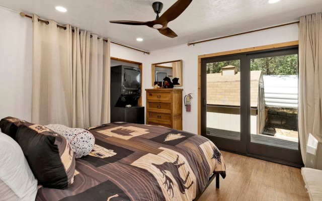 Bear Forest Cabin #2553