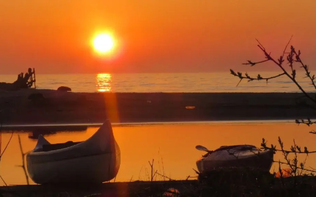 Experiente in Delta Dunarii