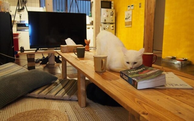 Mad Cat Hostel Osaka & Bar