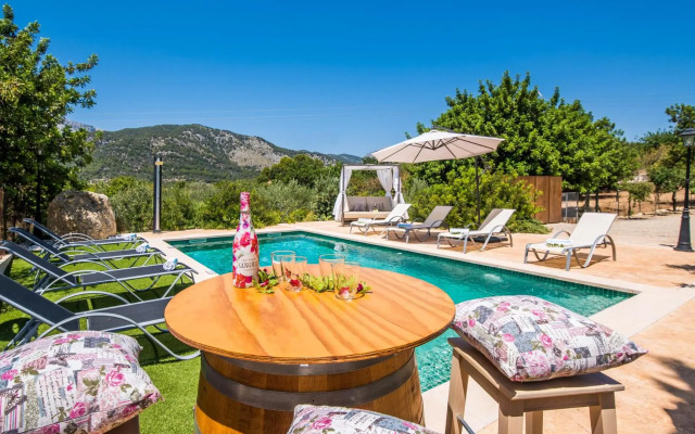 Puig d'en Guardiola ID:74768