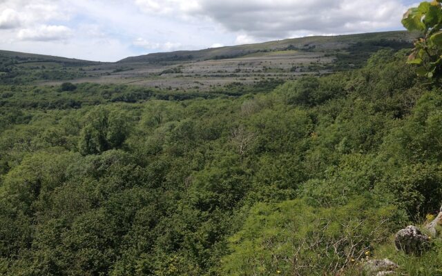 Burren Bushcraft - Camping & Adventures