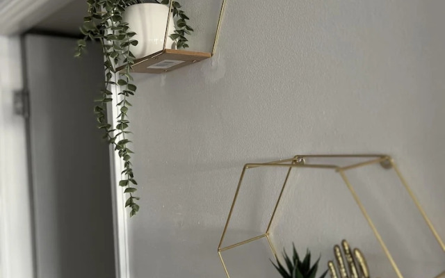 Spacious 2BR City Center Apartment