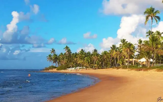Sol da Terra