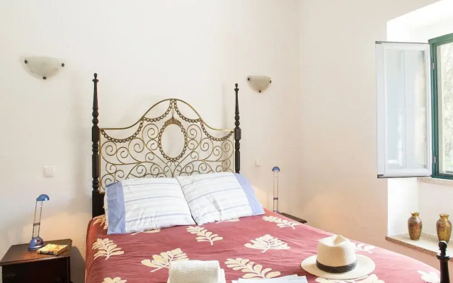 Farmhouse Dreams: Explore and Relax
