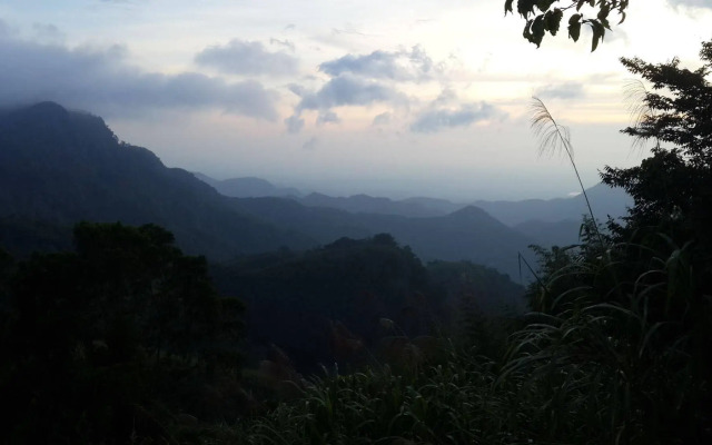 Alishan Tea Homestay