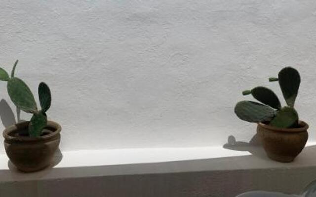 Casa Vacanze al Mare in Salento
