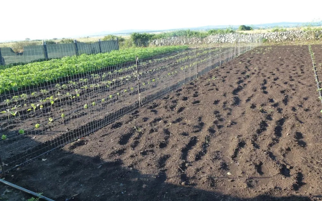 Agriturismo Nuragh'Elighe