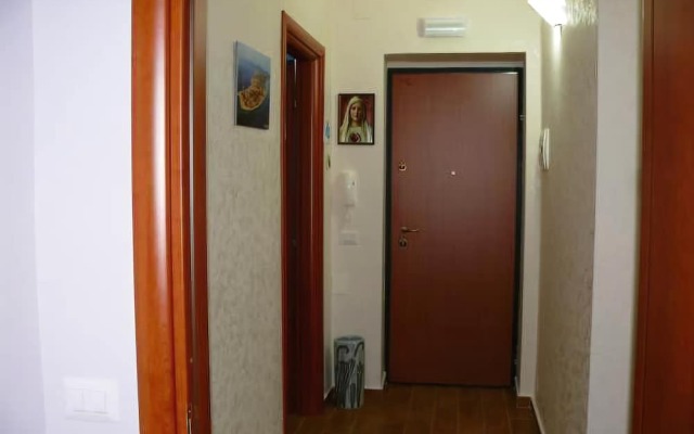 B&B Max