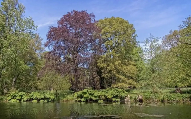 Relaxing Escape by the Kings Road