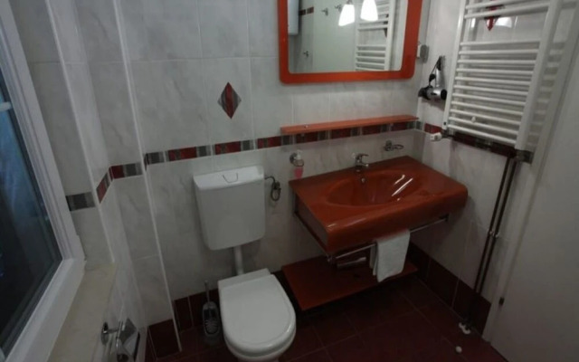 Viola - With Pool - A9