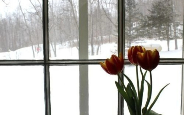 Country Comforts Bed and Breakfast