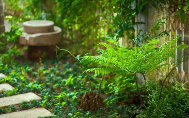 Gulangyu Phoenix Hotel